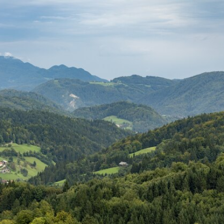 environment